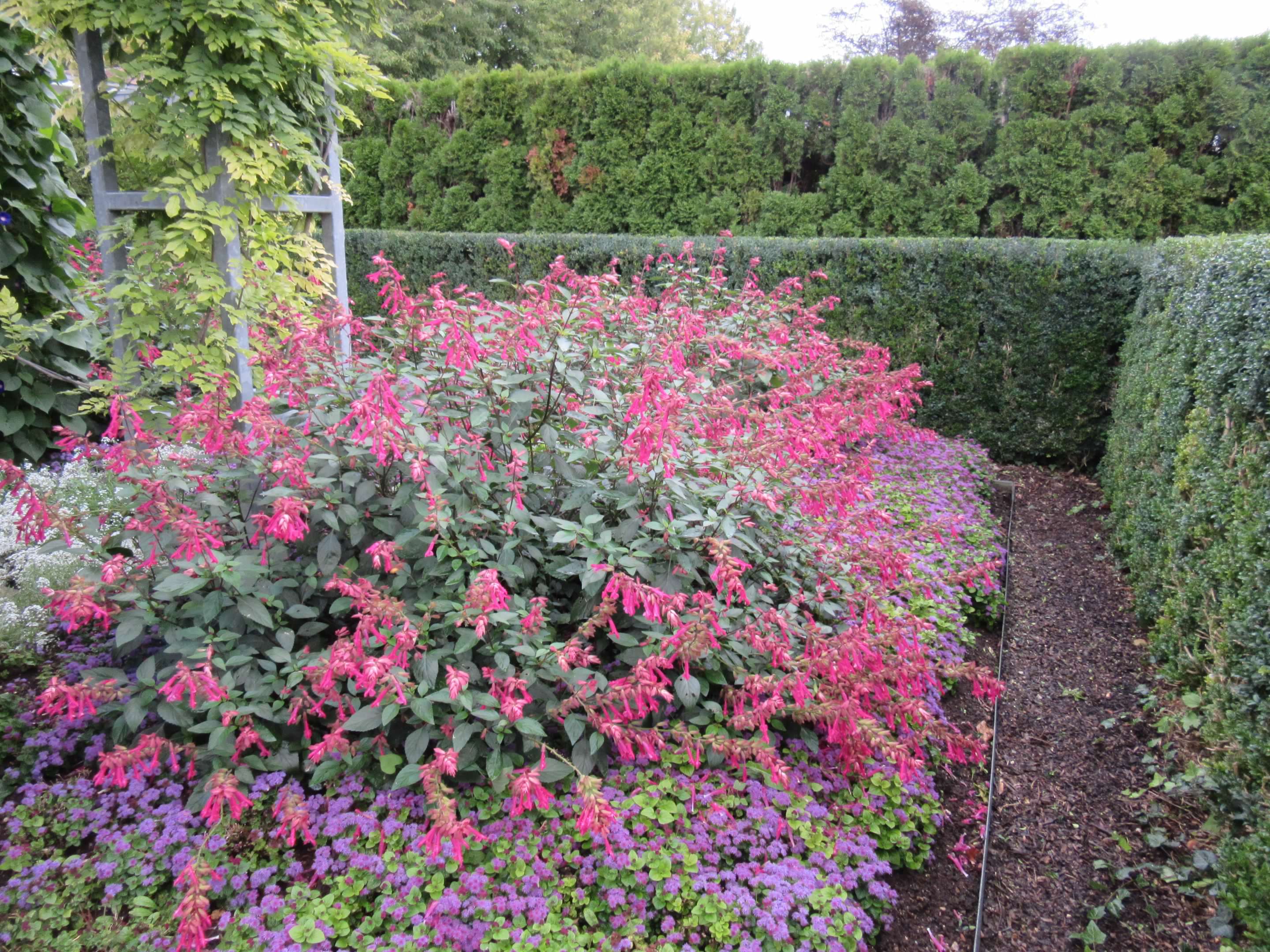 Claude Monet's Giverny Gardens